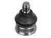 Joint de suspension Ball joint:95 603 309