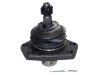 Ball Joint:43350-29015